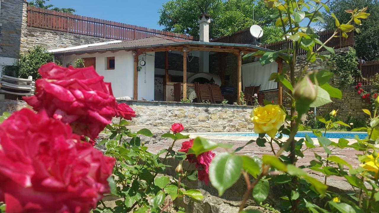 דריאנובו Rosarium Residence Guest House מראה חיצוני תמונה